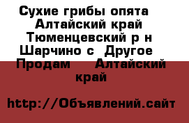 Сухие грибы опята  - Алтайский край, Тюменцевский р-н, Шарчино с. Другое » Продам   . Алтайский край